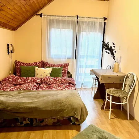 アパート Kovacs Vendeghaz ハルカーニャ